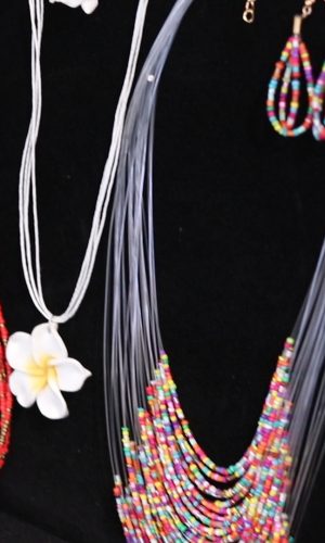 MVI_4296.01_29_18_06.Still134